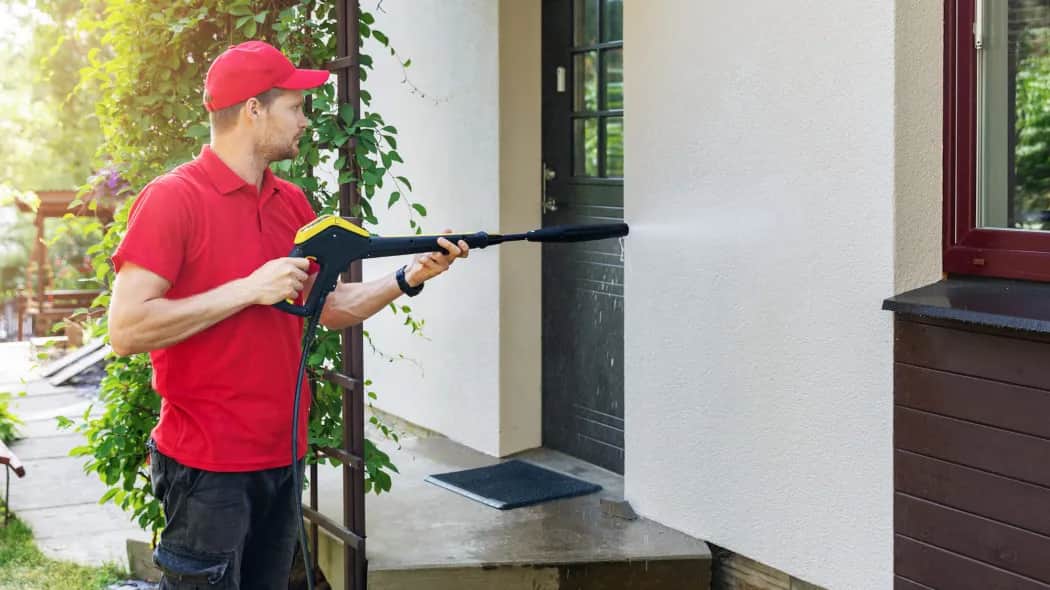 Skuteczne sposoby na to, czym zmyć ptasie odchody z elewacji