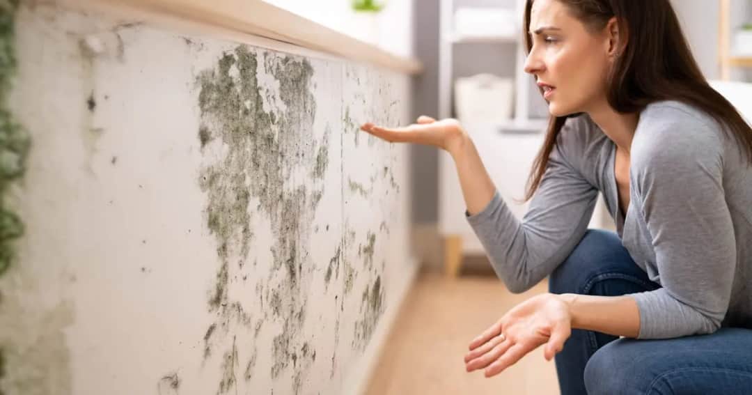Skuteczne sposoby jak pozbyć się pleśni ze ściany i uniknąć jej powrotu
