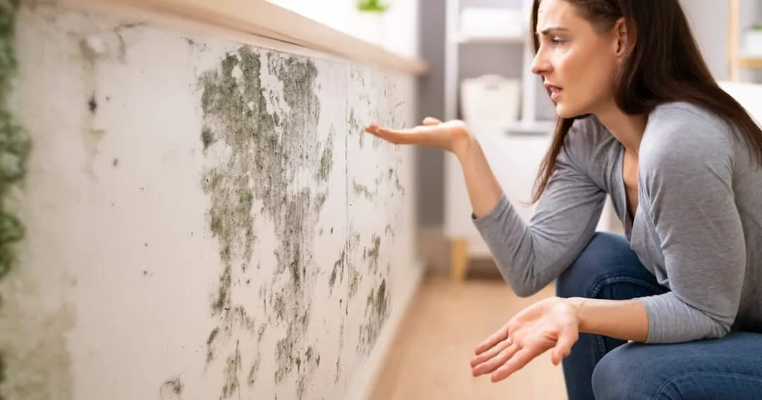 Skuteczne sposoby jak pozbyć się pleśni ze ściany i uniknąć jej powrotu